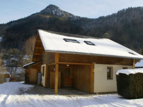 Spacious chalet near the ski area